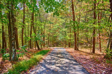 Autumn Foliage Pathway in Hocking Hills Tranquil Eye-Level View