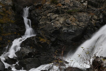 Vall&eacute;e de la Clar&eacute;e, N&eacute;vache (05)