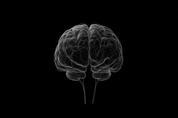 A brain is shown in a black and white photo. The brain is shown in a very detailed and realistic manner, with every single detail of the brain visible. The photo gives off a sense of awe