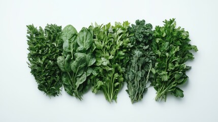Naklejka premium A row of fresh green leafy vegetables on a white background