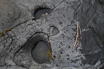 Vallée de la Clarée, Névache (05)