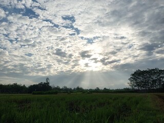 bright evening sky with abstract clouds.  blue sky