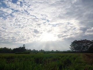 views of sky, clouds and sun in the afternoon in summer