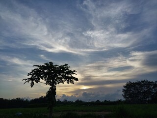 bright evening sky with abstract clouds.  blue sky