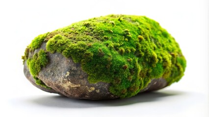 Isolated Granite Boulder Covered with Vibrant Green Moss on a Soft White Background Showcasing Nature's Artistry and Textural Beauty