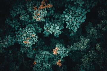 Fototapeta premium Discover the vibrant beauty of nature's greenery with stunning floral accents in a lush canopy