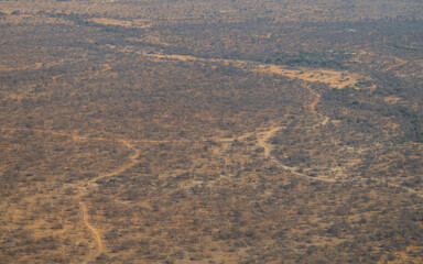 Luftbild Landschaftsbild - Flora Botanik Busch im Krüger National Park - Kruger Nationalpark Südafrika