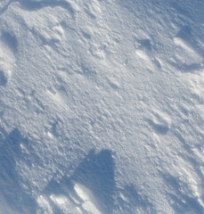 The snow is white and the ground is covered in it