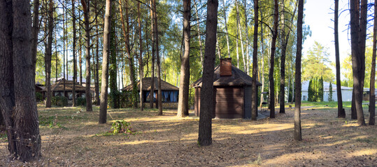 A wooded area with a cabin and a shed