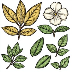 Detailed Illustration of Various Leaves and a Flower in Different Shades of Green and Yellow, Perfect for Nature Themed Projects and Designs