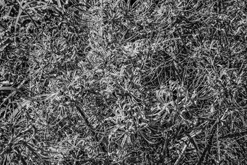 億光年の時間軸を思考してます