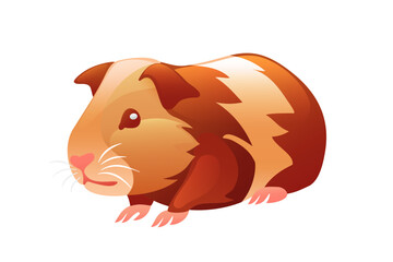 Guinea pig illustration, realistic in 3D style.