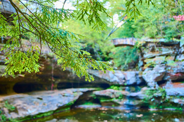 Lush Foliage and Stone Bridge at Upper Falls Ohio Eye-Level View