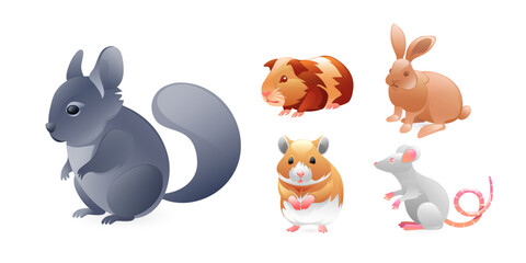 Set of illustrations of rodents, squirrel, rat, guinea pig, hamster, rabbit, realistic in 3D style.
