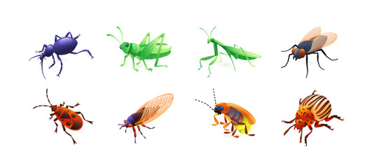 Set of insect illustrations, ground beetle, grasshopper, praying mantis, fly, red bug, cicada, cricket, Colorado potato beetle, realistic in 3D style.