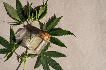 CBD oil hemp products. glass bottle with CBD oil, hemp leaves. Medicinal cannabis with extract oil. Cosmetics CBD oil