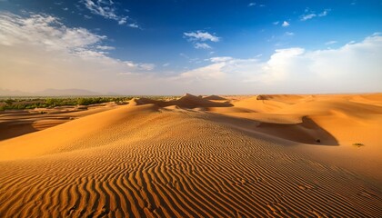 Naklejka premium Mystic Dunes: A Journey Through Jaisalmer’s Thar Desert