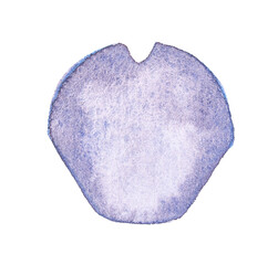 V letter. Close-up of sophora japonica under light microscope with blue tinge and rounded structure.