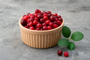 Cranberry in a ceramic bowl on a dark background. Close, horizontal.