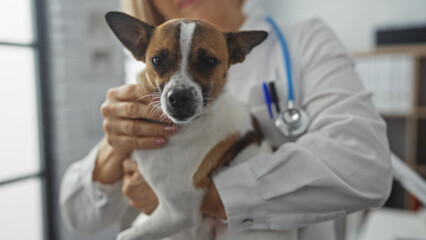 A blonde caucasian woman at a veterinary clinic holds a small dog, showcasing her caring nature as...