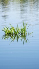Fototapeta premium A serene scene of green grass reflecting perfectly in a calm water surface, landscape, tranquil, water