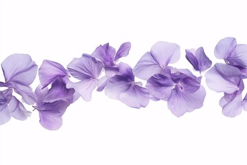 Naklejka premium Delicate Purple Flower Petals on a White Background
