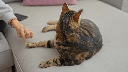 An adult hispanic woman gently interacts with her cat on a comfortable couch inside a modern living room.