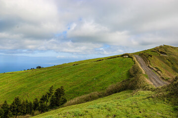 landscape with grass and sky - Sao Miguel