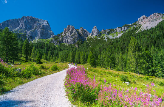 Wanderweg und Berge in den sommerlichen Alpen: Trogkofel, Rosskoffel, Zuckerh&uuml;tl, Trogh&ouml;he, Zweikofel, Panorama, Sonnleitn, Nassfeld, K&auml;rnten, &Ouml;sterreich