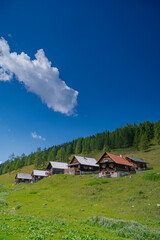 Idyllischer Anblick: Almhütten in den Alpen im Sommer