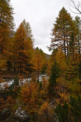 Lac Vert (vallée étroite-Névache)