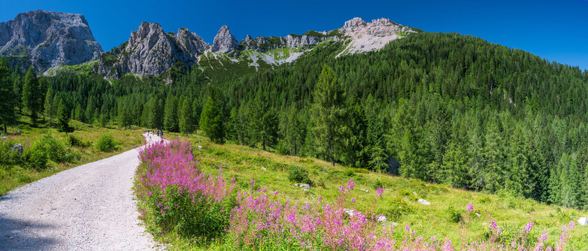 Wanderweg und Berge in den sommerlichen Alpen: Trogkofel, Rosskoffel, Zuckerh&uuml;tl, Trogh&ouml;he, Zweikofel, Panorama, Sonnleitn, Nassfeld, K&auml;rnten, &Ouml;sterreich