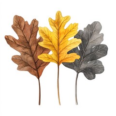 Fototapeta premium Three beautifully illustrated leaves in shades of brown, yellow, and gray are arranged on a white background, perfect for autumn-themed designs, educational materials, or nature-related projects,