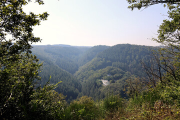 Bewaldete Hügel beim Bismarckturm Bad Bertrich in der Eifel im Landkreis Cochem-Zell. Aussicht vom Wanderweg Wasserfall-Erlebnisroute, der 2023 zu Deutschlands schönstem Wanderweg gewählt wurde.