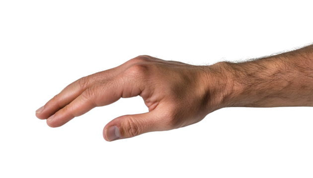 Delicate hand posture with gently curled fingers showcasing elegance and grace as a reflection of calmness and poise in hand gesture. Hand posture.