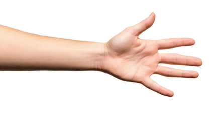 Extended hand signaling with an open palm emphasizing communication and gesture in hand posture.