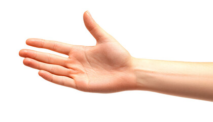 Extended fingers in a high-five position demonstrating a dynamic hand posture showcasing excitement and connection. Hand posture.