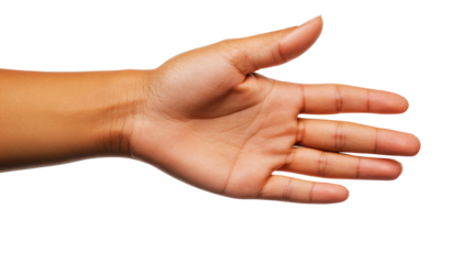 Gently Pointing Hand with Open Palm Showcasing Delicate Gesture and Expression of Intent in Hand Posture