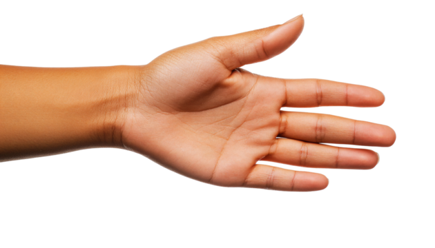 Gently Pointing Hand with Open Palm Showcasing Delicate Gesture and Expression of Intent in Hand Posture