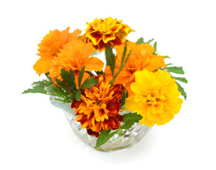 Fresh marigold flowers isolated on white background