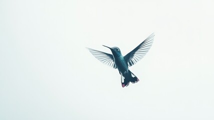 Obraz premium A hummingbird hovering in mid-air against a light background.