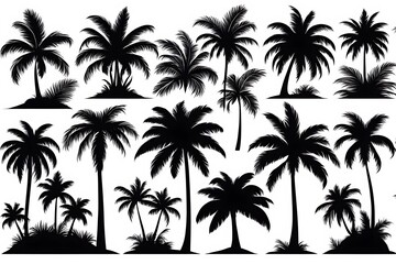 Palm trees silhouettes. Tropical leaves, retro palms tree and vintage silhouettes. Coconut palm, exotic lush sketch or hawaii coco palms. Vector illustration isolated icons set