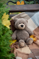 Teddy bear sitting alone on the bench in the park, looking at the distance. Nearby is a plaid shawl