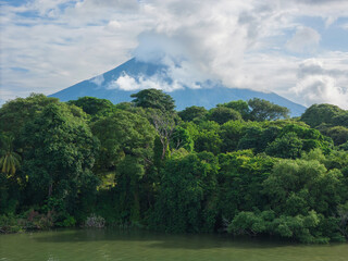 Wild jungle in coastline