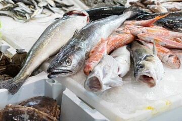 Fresh fish lying on ice is being sold at the market