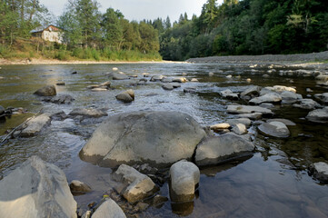 The mountain river. Landscape with forest, river and stones.