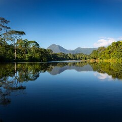 Obraz premium Serene Lake Surrounded by Lush Tropical Rainforest, Reflecting Towering Trees and Distant Mountain Peaks Under a Clear Blue Sky, Captured for a Scenic Nature Landscape