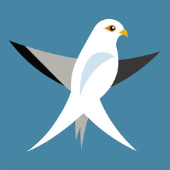 bird pigeon dove white animal