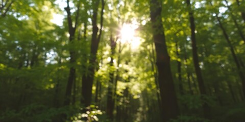 Fototapeta premium Blurred sunlight filtering through lush green foliage in a peaceful forest setting, defocused, wallpaper