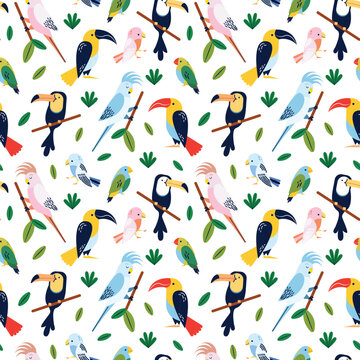 Tropical birds - seamless pattern design